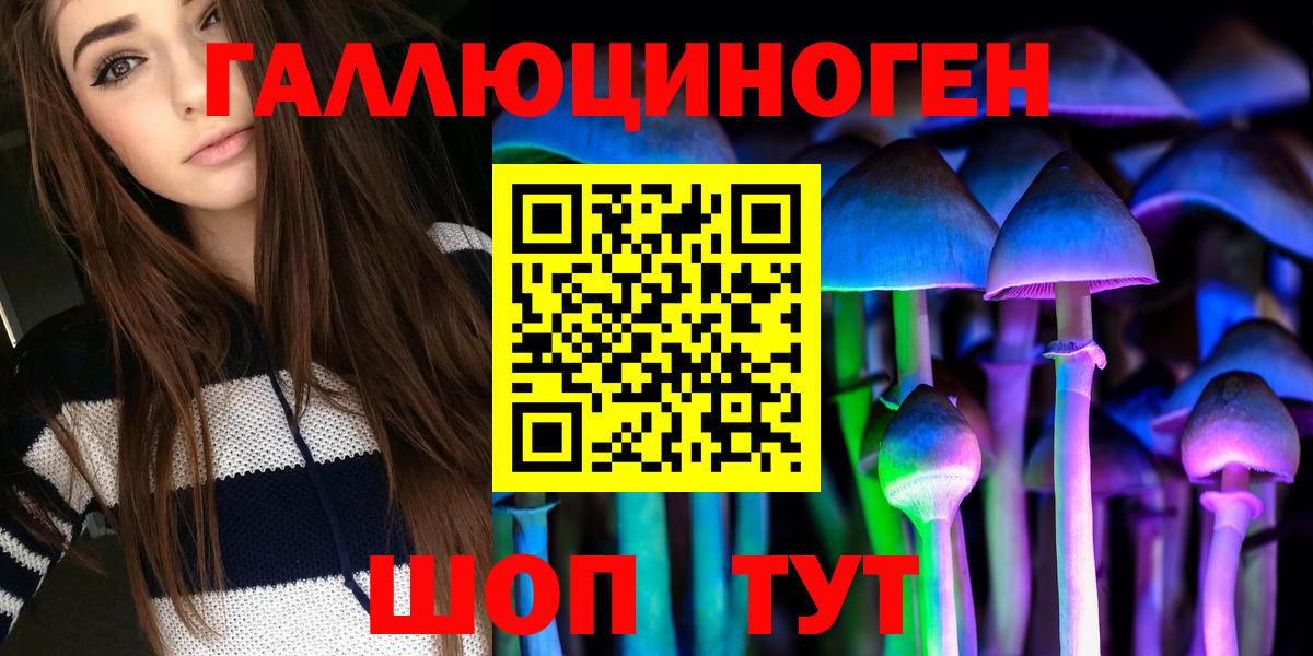 Волжский  как найти закладки  Вход с VPN  Псилоцибиновые грибы Cubensis 